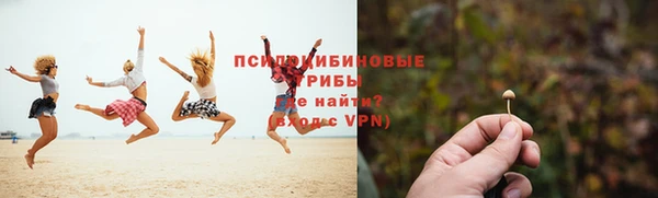спайс Абаза