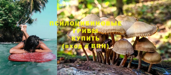 дживик Алзамай