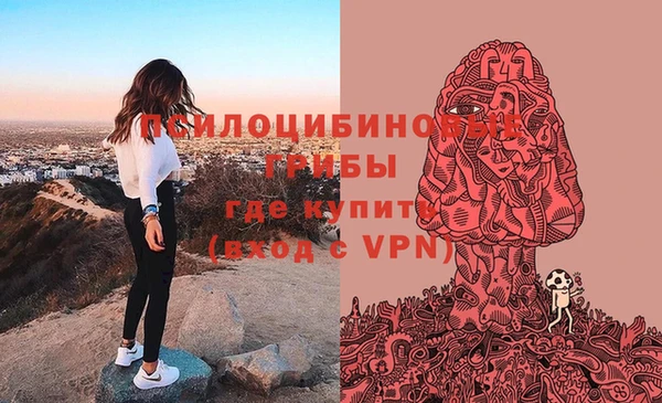 гидропоника Абинск