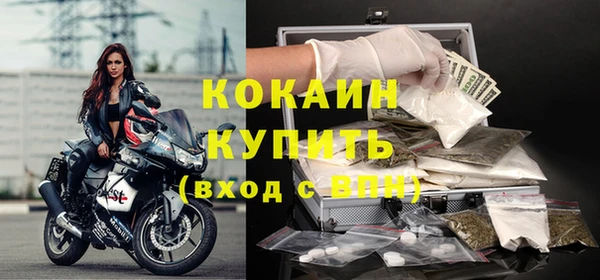 ешки Дмитриев