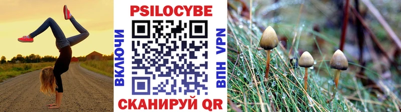 MEGA как войти  Яхрома  Галлюциногенные грибы мицелий 
